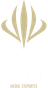 Asian Champions League