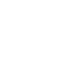 Spirit Academy