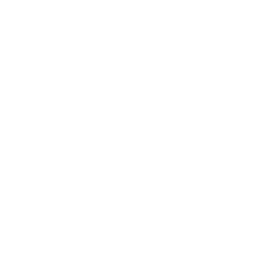 Spirit fe